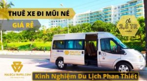 Thue Xe 7 16 29 Cho Di Mui Ne Phan Thiet Gia Re