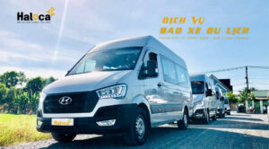 Bao Xe Du Lich Tphcm