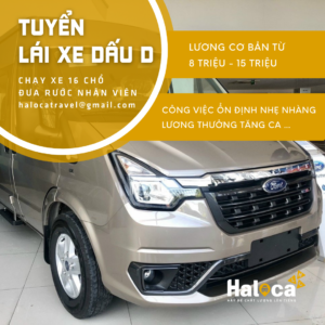 Haloca Travel Tuyen Lai Xe 16 Cho Tphcm