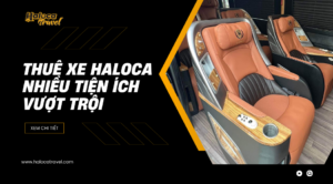 Dich Vu Thue Xe Haloca Voi Nhieu Tien Ich Vuot Troi